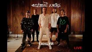 Animal ДжаZ — Танцуй (Live, 2024)