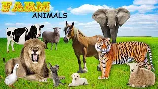 Animal Sounds - Wild Animals - Farm Animals, Domestic Animais 🐴Animais da Fazenda