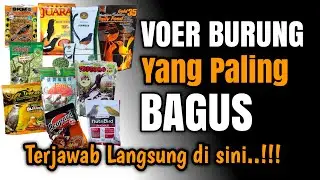 JENIS VOER BURUNG YANG PALING BAGUS Tanya langsung ABF INDONESIA