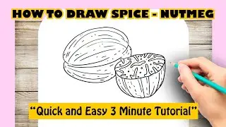 HOW TO DRAW SPICE - NUTMEG