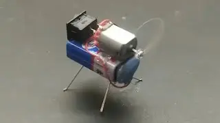 DIY insect robot