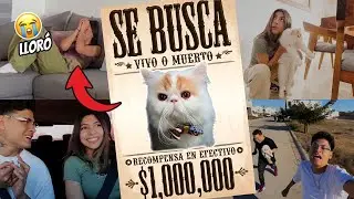 SE R0BARON A COPITO🐱😱 Broma a CECIA LOAIZA / KatiaVlogs