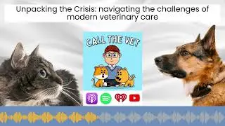Unpacking the Crisis: navigating the challenges of modern veterinary care