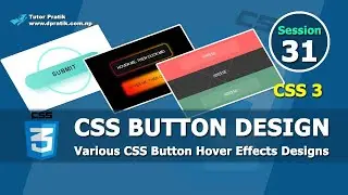 CSS Button Hover Effects Design With Animation Session 31 | Tutor Pratik