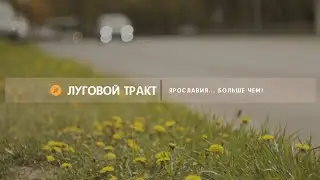 Костромской луговой тракт | Ярославия... Больше чем!