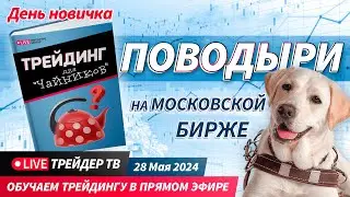 День новичка. Обучение трейдингу в прямом эфире. Поводыри на Московской бирже | Live Трейдер ТВ