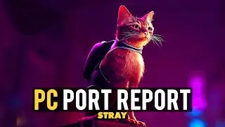 Stray PC Port Report | Purrrfect Port or Trash?