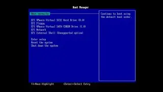 Vmware Workstation UEFI Boot Issue - Resolved