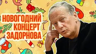 НОВОГОДНИЙ КОНЦЕРТ ЗАДОРНОВА #михаилзадорнов