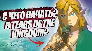 ГАЙД ДЛЯ НОВИЧКОВ THE LEGEND OF ZELDA TEARS OF THE KINGDOM | СОВЕТЫ