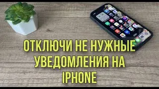 Как отключить уведомления от ненужных приложений на Айфоне? Полезные функции вашего IPhone