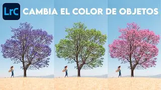 CAMBIA el COLOR de OBJETOS en tus fotos | Pincel de Ajuste en Lightroom Classic