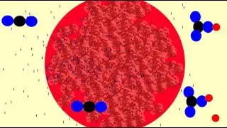 CARBON DIOXIDE INTERVIEW AS FORMS BICARBONATE