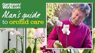 Looking after orchids