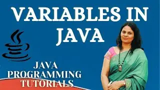 Variables in Java|Variables in Java with Example|Java Variables