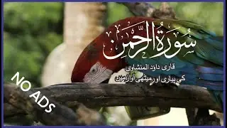 Surah Rahman Beautiful Voice | Qari Dawood Al Manshawi Surah Rehman Tilawat