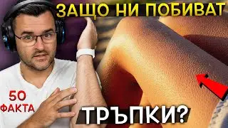 50 Невероятни Факта, които ТРУДНО бихте приели за ИСТИНА