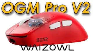 Waizowl OGM Pro V2 reaction & first impression