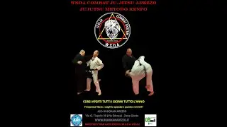 RACCOLTA CONCATENAZIONI AVANZATE DI KENPO-JUJUTSU MAESTRO 6° DAN LUCIO PICCIOLI BUDOKAN AREZZO WSDA