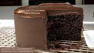 Easy Mini Chocolate Cake Recipe