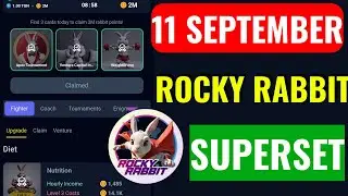 11 September Rocky Rabbit Daily Combo | Today Rocky Rabbit Superset Card | Rocky rabbit Daily Combo