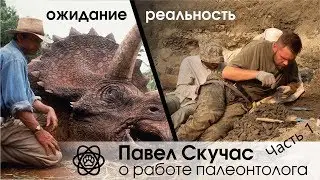 Чихающий лаборант или мезозойский динозавр?