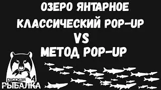 Карповая ловля. Оснастки. Метод pop-up vs классический pop-up. Озеро янтарное. Русская рыбалка 4.