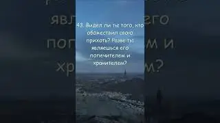 Завидев тебя, они лишь насмехаются.. Сура 25 Фуркан (41-44)