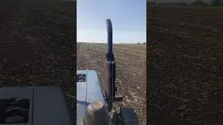 1 мая 2024 г.