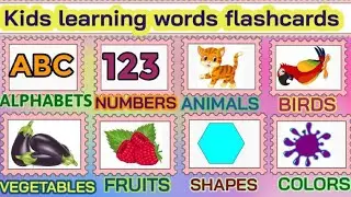 Learn Basic English Words Vocabulary//Kids vocabulary//Learn Basic English Words Vocabulary