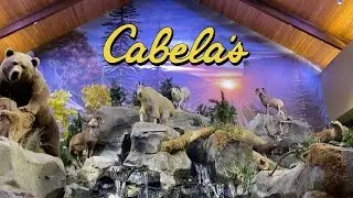 Cabelas! AMAZING NATURE DISPLAY!