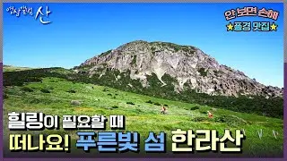 [영상앨범 산] 대한민국 3대 명산 중 한 곳, 제주 한라산(★방구석 명산시리즈★) | “푸른빛 섬 산을 오르다 - 제주 한라산”(KBS 130728 방송)