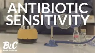 Antibiotic Testing - defeat superbugs