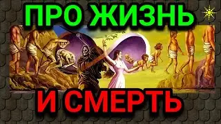 О жизни, смерти, продлении молодости и новых героях. №  634