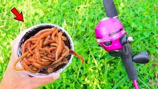 Fishing w/ GIANT Livebait WORMS (WALMART)