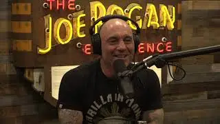 Joe Rogan Experience #1647 - Dave Chappelle