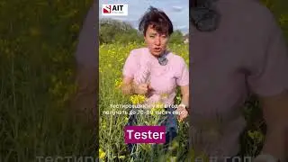 🇩🇪 IT, Записаться на бесплатную консультацию: https://ait.hopp.to/deutsch_mit_bozena_korn_yt