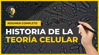 Historia de la Teoría Celular | Resumen 😉