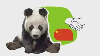 Politik mit Pandas | logo! einfach erklärt