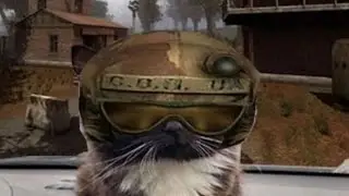 But here is the S.T.A.L.K.E.R. cat