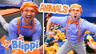 Blippis Animal Pretend at Skyzone Indoor Trampoline Park! Educational Videos for Kids