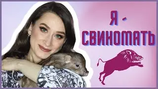 ВСТРЕЧАЙТЕ - ГОША🐽 Новый соведущий канала🐗
