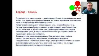 Путешествие по организму: сердце и тонкий кишечник