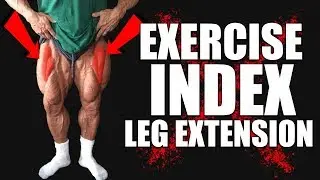 Exercise Index - Leg Extension