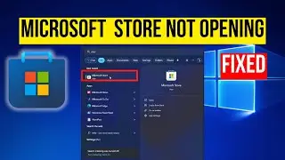 How to fix Microsoft store not opening windows 11 / 10 (2024)