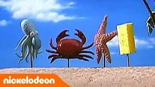 Губка Боб Квадратные Штаны | 2 сезон 12 серия | Nickelodeon Россия