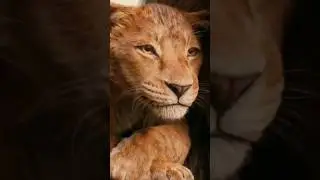 Why The NEW MUFASA Trailer Feels WEIRD... 