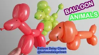 Dogs - EASY Balloon Animals for Beginners DIY