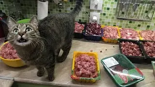 Закупка мяса кошкам, готовим мясные миксы. Натуральное питание кошек. 😻🐾