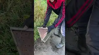 Нашел на берегу нечто! Что это? Кто знает? shorts 